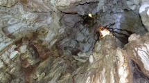Baratang Limestone Caves